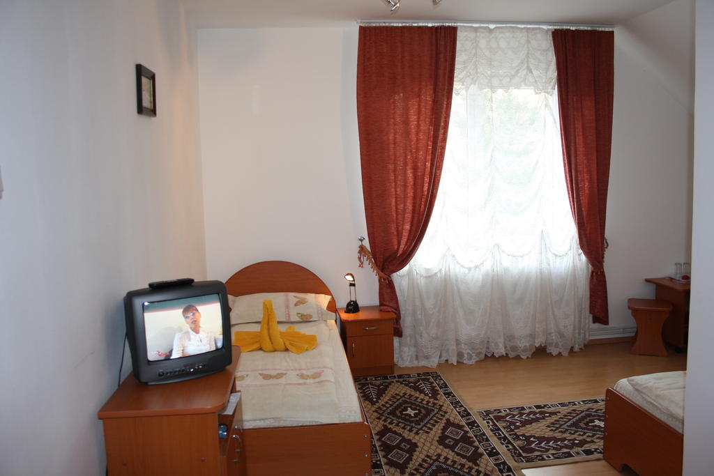 Pensiunea Claudiu Caransebeş Chambre photo