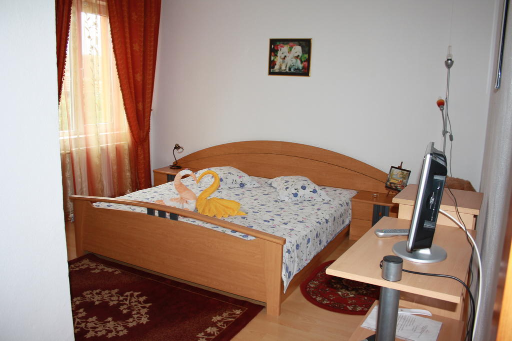 Pensiunea Claudiu Caransebeş Chambre photo